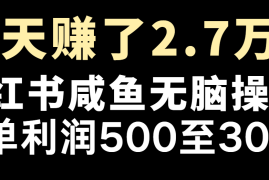 七天赚了2.7万！每单利润最少500+，轻松月入5万+小白有手就行