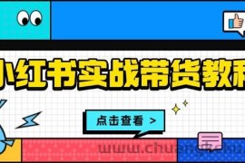 小红书实战带货教程：从开店到选品、笔记制作、发货、售后等全方位指导