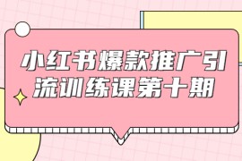 （1693期）小红书爆款推广引流训练课第十期，手把手带你玩转小红书，轻松月入过万