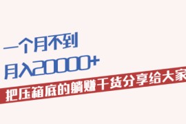 （1980期）一个月不到，月入20000+把压箱底的躺赚干货分享给大家