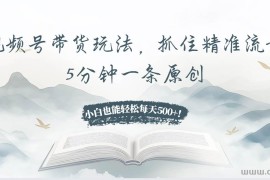 （13492期）视频号带货玩法，抓住精准流量，5分钟一条原创，小白也能轻松每天500+！