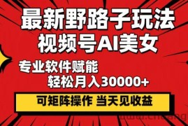 （12798期）最新野路子玩法，视频号AI美女，当天见收益，轻松月入30000＋