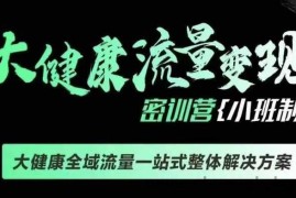 千万级大健康变现课线下课，大健康全域流量一站式整体解决方案