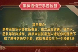 （12949期）黑神话悟空小白简单无脑操作拉新单天收益一千+