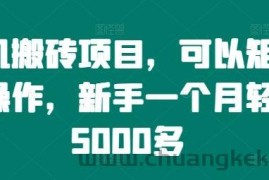 手机搬砖项目，可以矩阵化操作，新手一个月轻松5000多