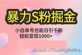 （12778期）单人单机日引千粉，变现1000+，S粉流量掘金计划攻略